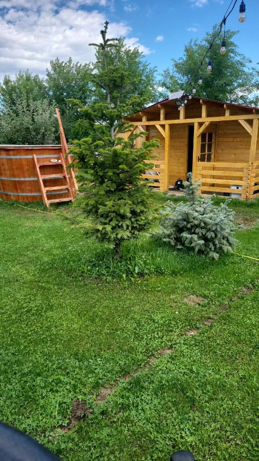 Casa Elis Piscina, Jacuzzy , Sauna, Ciubar Merei Exterior photo